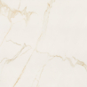 Eliane Calacatta Ouro - Satinado - 120x120cm