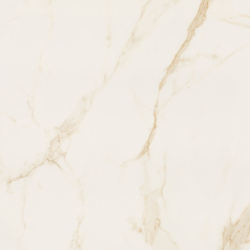 Eliane Calacatta Ouro - Satinado - 120x120cm