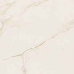 Eliane Calacatta Ouro - Pulido - 120x120cm