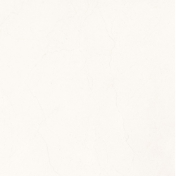 Tendenza Gres porcelánico Golden pulido 58,5x58,5cm