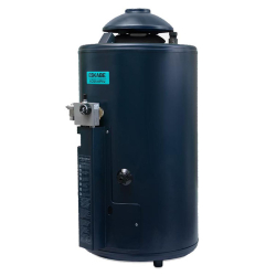 Termotanque Eskabe Acquapiu 700L/H Multigas - Salida de gas vertical (Ex A4)