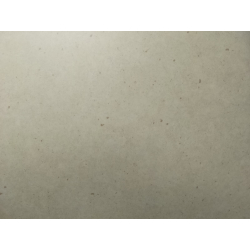 Piso vinílico - Modelo 9205 - 2.0 x 0.50m