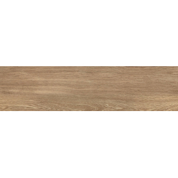 ILVA PORC.LEGNI TROPICAL 22.5X90 C1.22M 1C