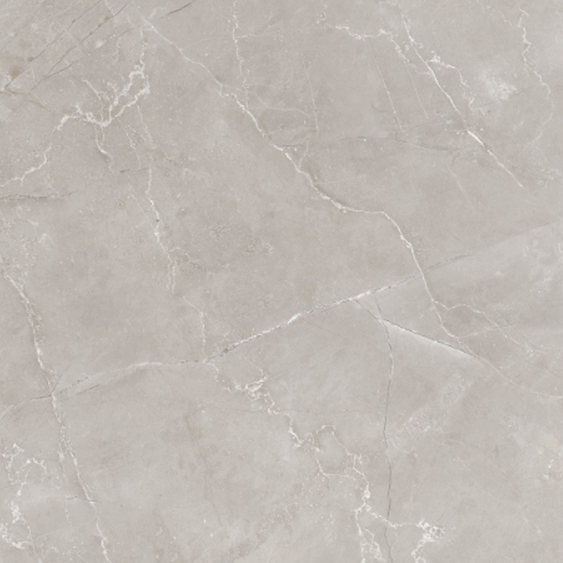 Cerro Negro Monaco gris pulido 58x58cm