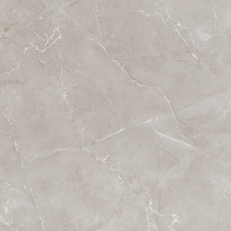 Cerro Negro Monaco gris pulido 58x58cm