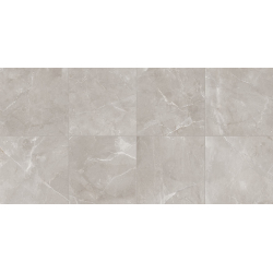 Cerro Negro Monaco gris pulido 58x58cm