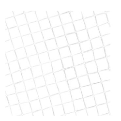 Malla sosten 12,5x12,5 - Ancho 2,00m - X ml